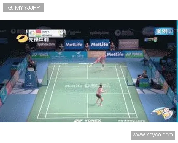 上海羽毛球队战术分析与未来发展方向探讨